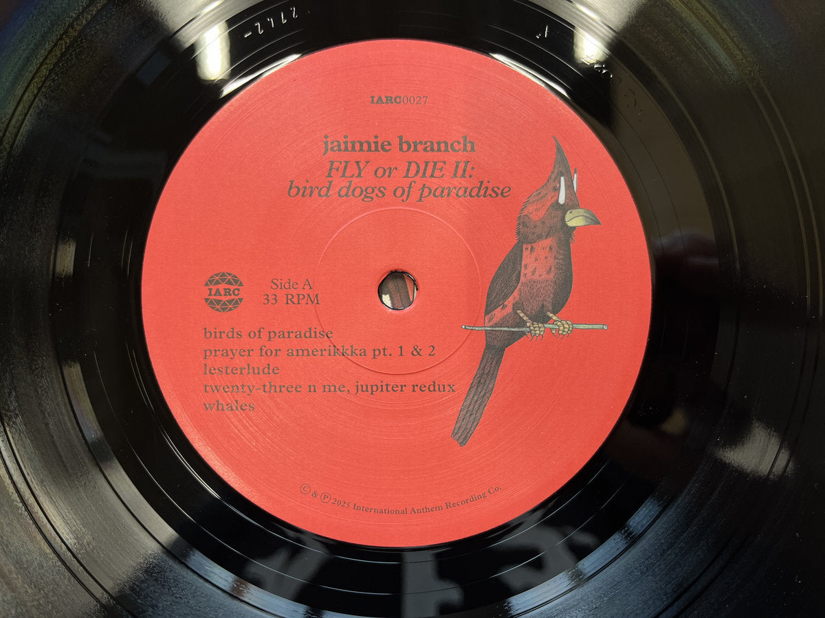 Jaimie Branch - FLY or DIE II: bird dogs of paradise (IA11 Edition)
