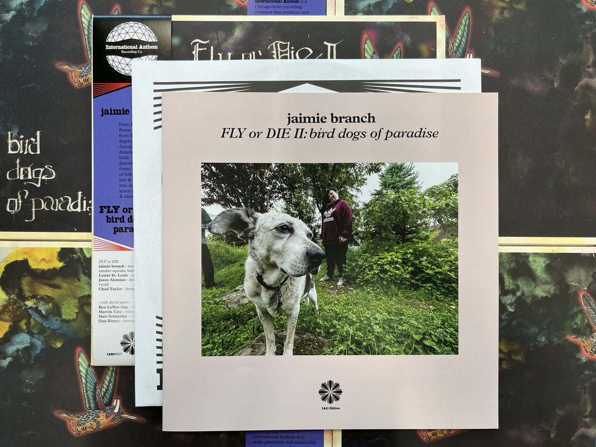 Jaimie Branch - FLY or DIE II: bird dogs of paradise (IA11 Edition)